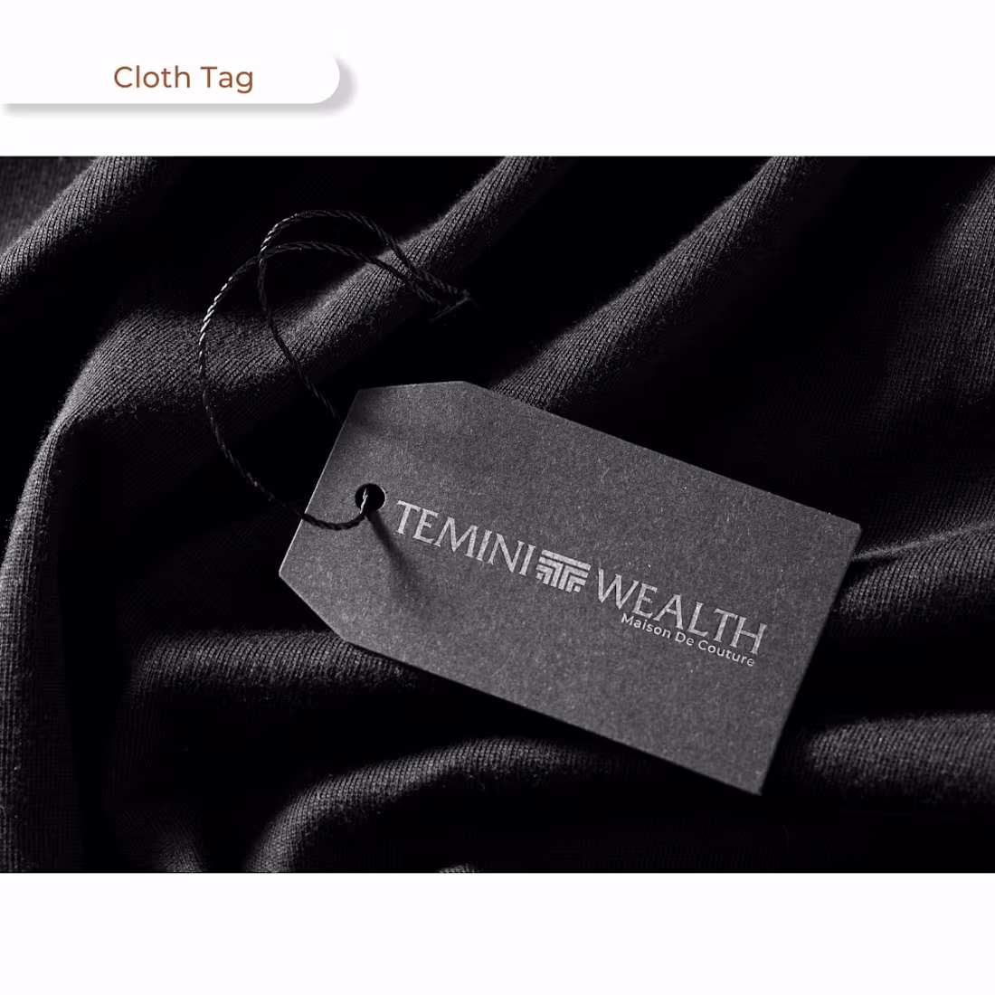 Cover image for Teminiwealth Logo Design