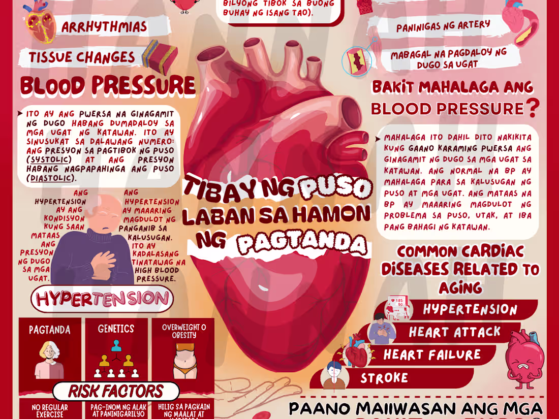 Cover image for Custom Infographic Design: Poster for Educational Content