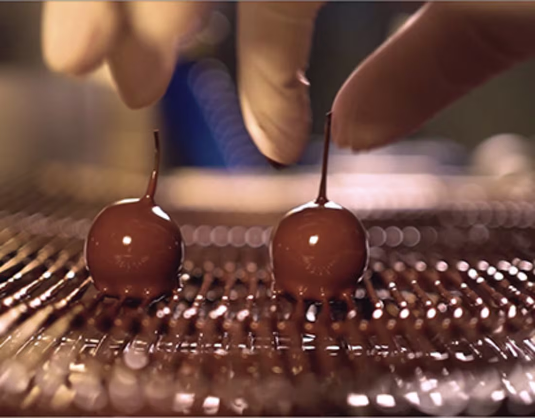 Cover image for Le Cacaotier - The Process