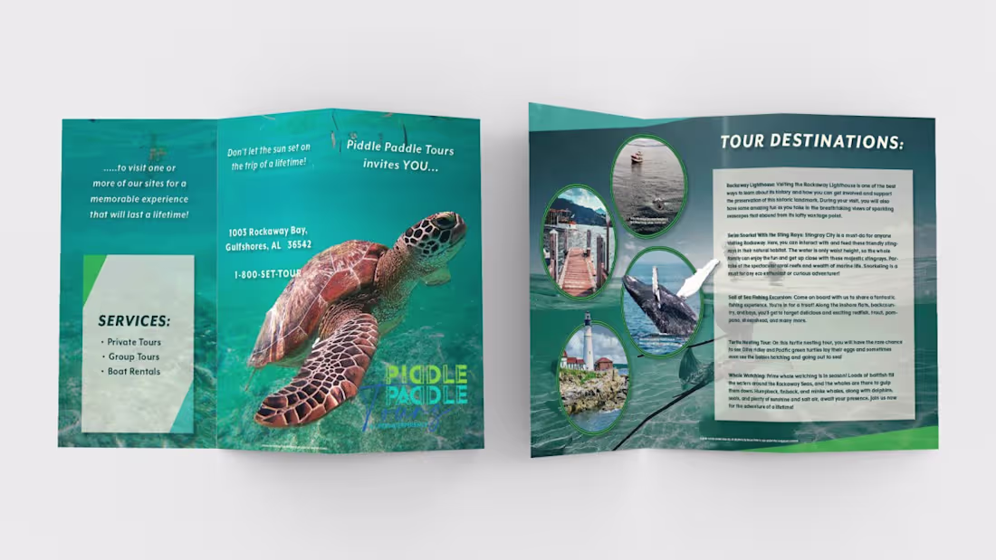 Cover image for Mockups of my designs: book