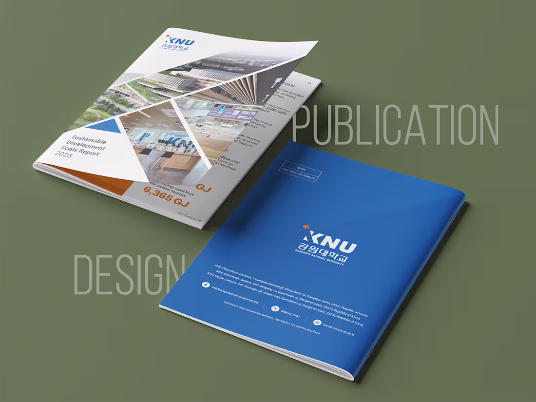 Cover image for SDG Report Design