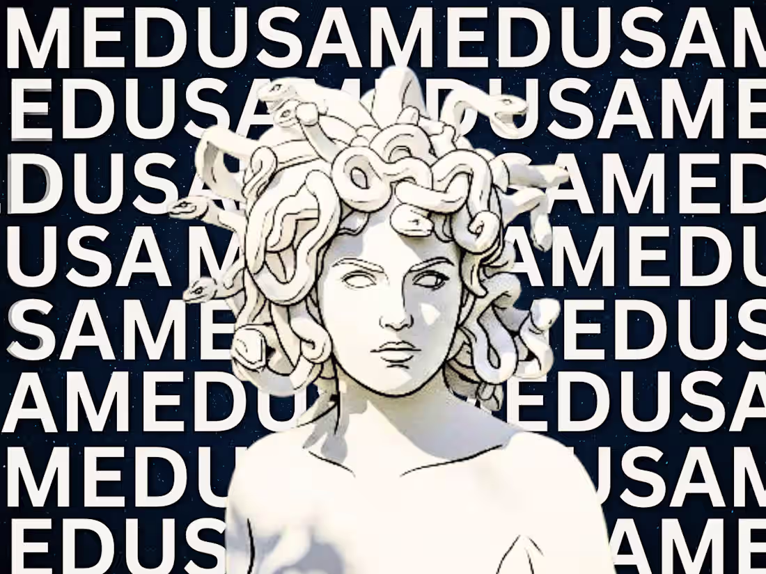 Cover image for My take on MEDUSA