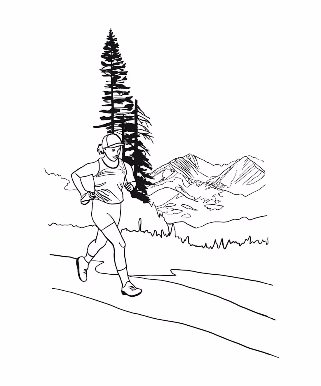 Cover image for Label Illustrations for Treeline Coffee