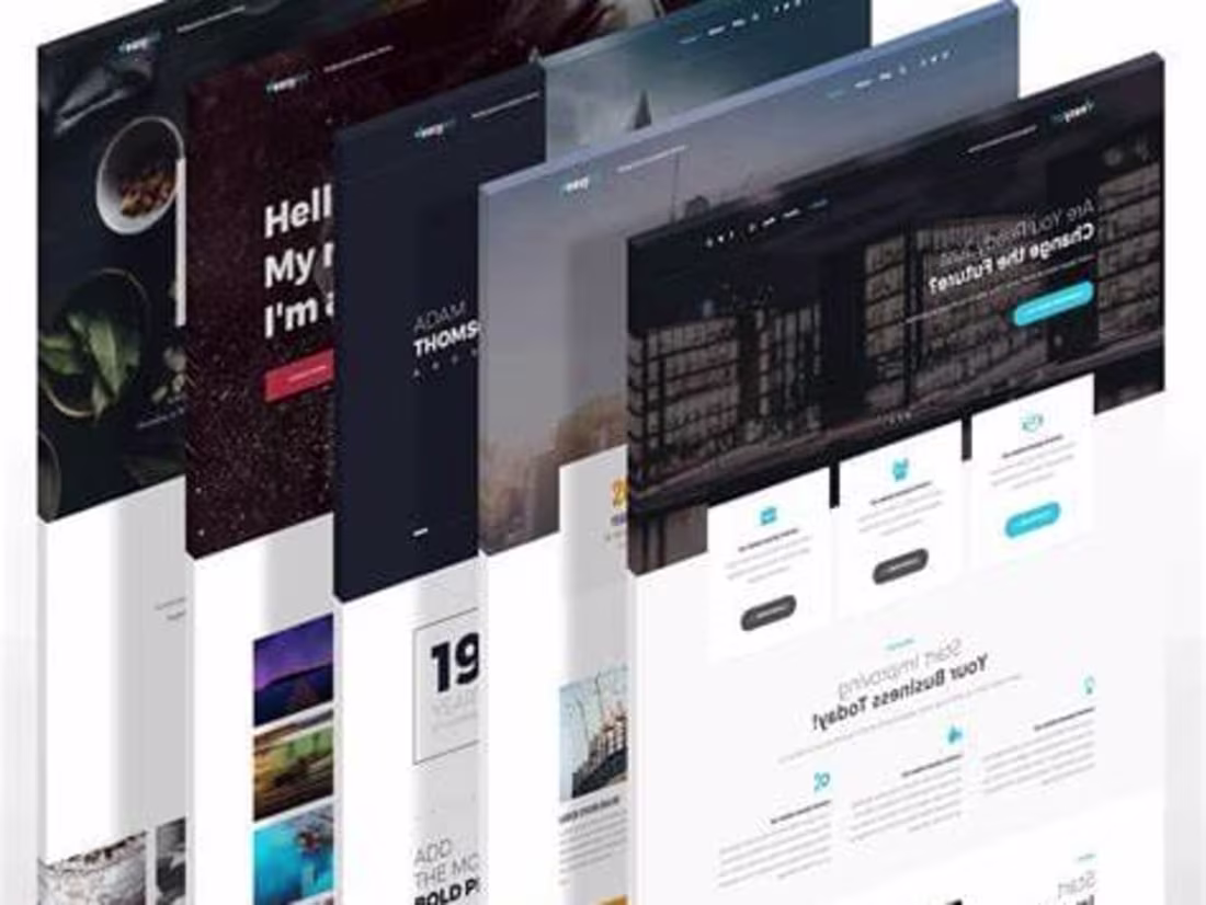 Cover image for WordPress web site designer 