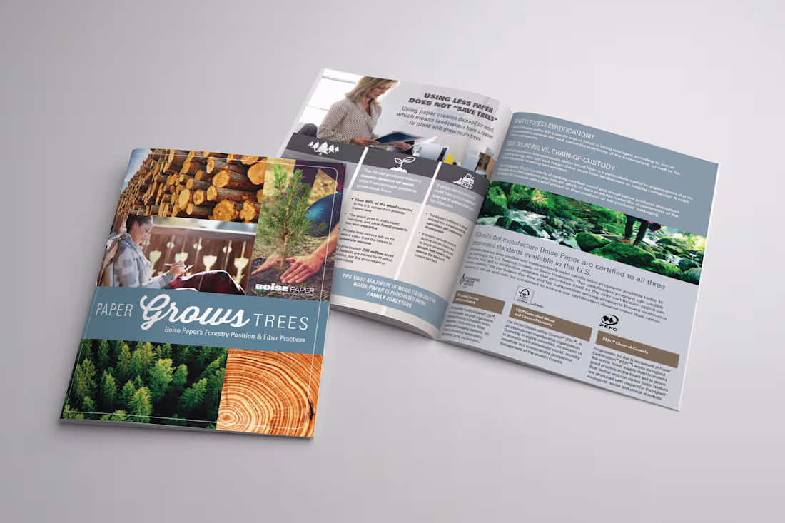 Cover image for Sales Collateral Design & Development
