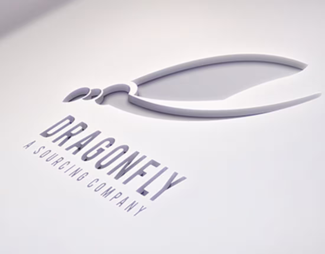 Cover image for Branding: Dragonfly - A Sourcing Company.