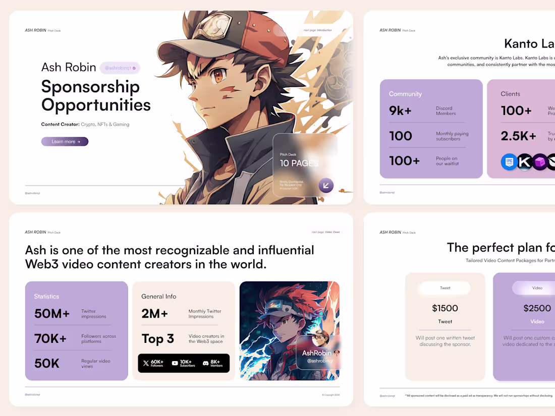 Cover image for Ash Robin Branding & Pitch Deck