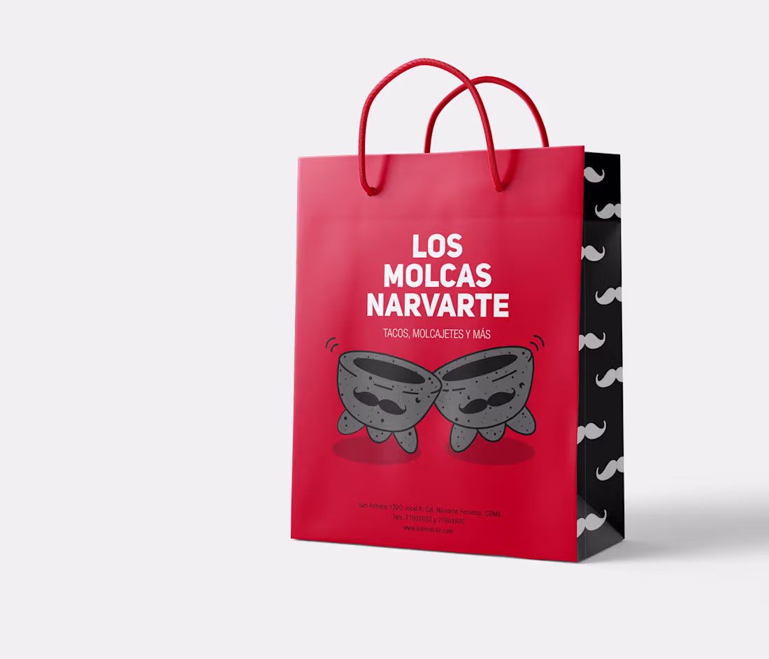 Cover image for Los Molcas Narvarte