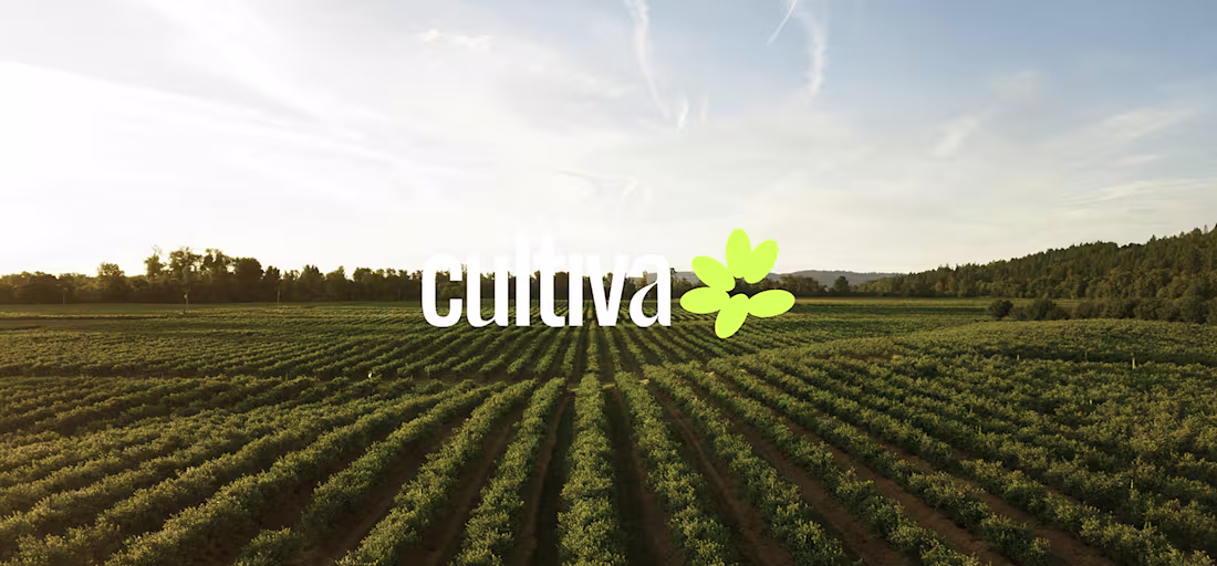 Cover image for Cultiva Brand Identity