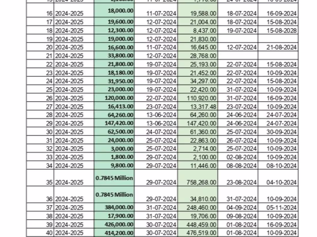 Cover image for A professional Excel data entry