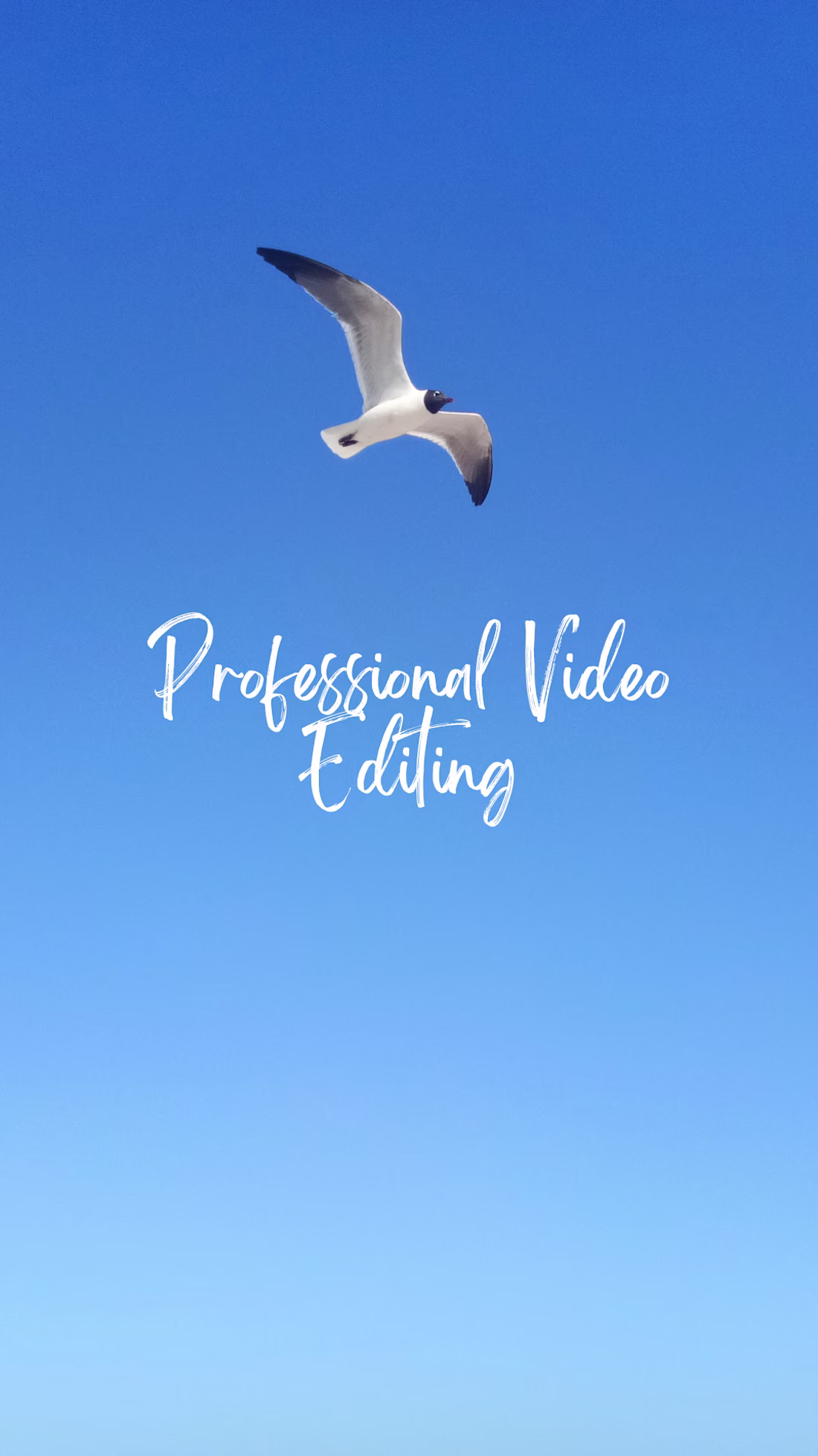 Cover image for videos editor