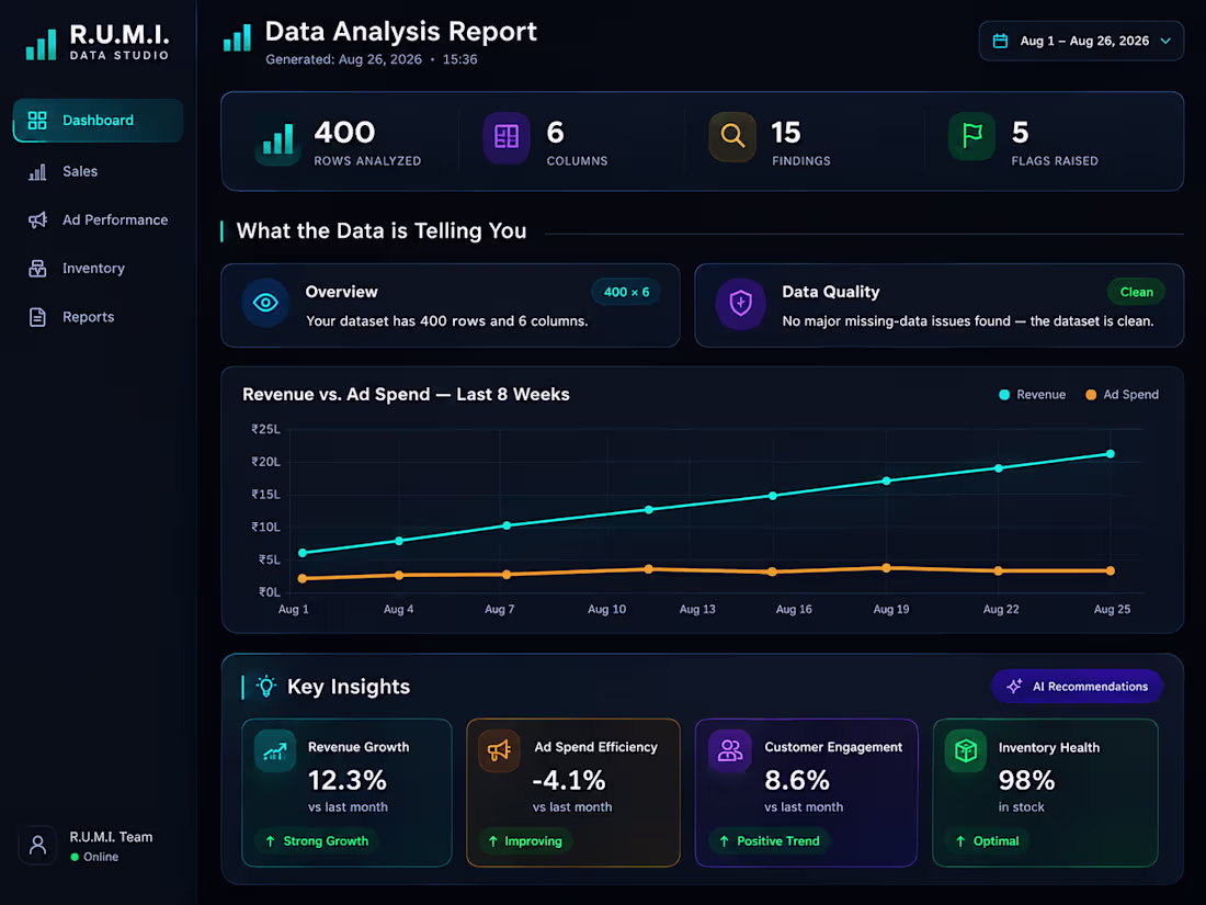 Cover image for Data Health Check