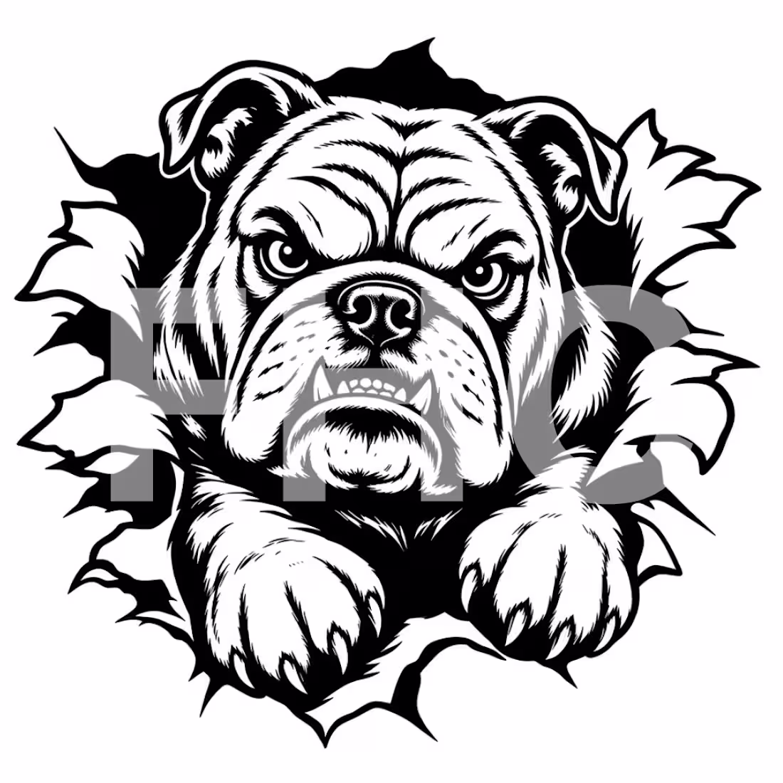 Cover image for // Another vector project completed!
Just