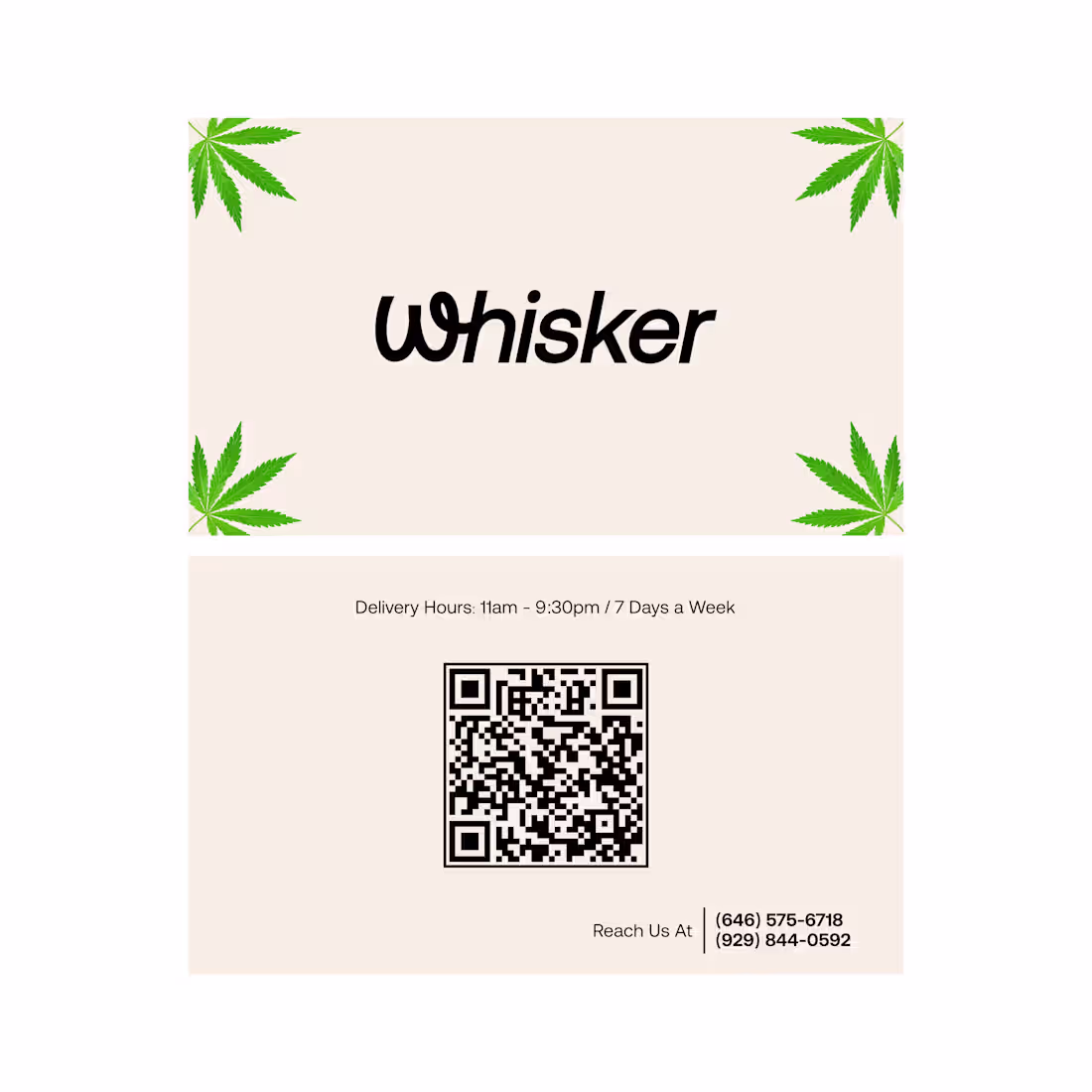 Cover image for Whisker business card design