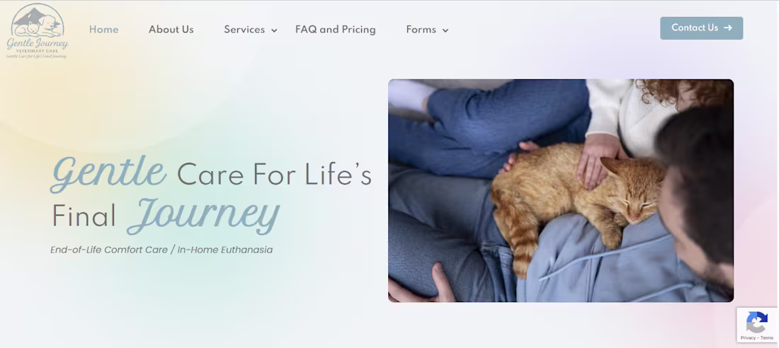 Cover image for Content Page WordPress Website with