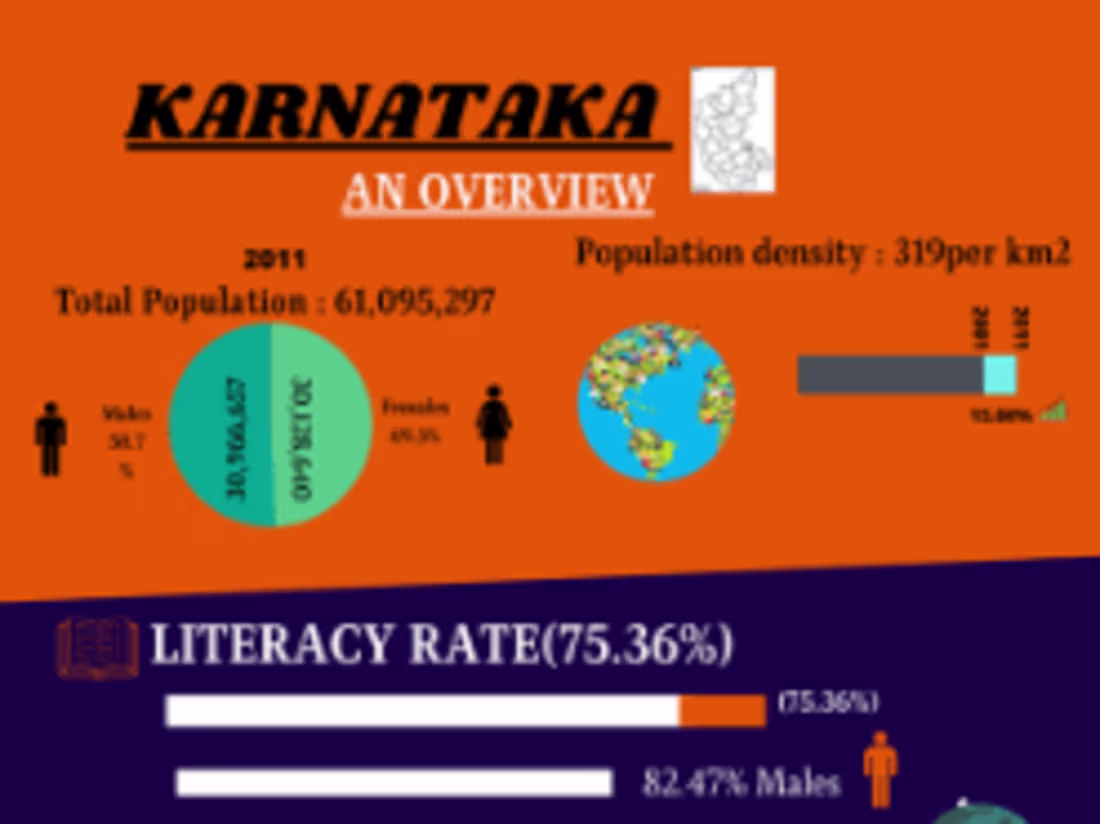 Cover image for Infographics