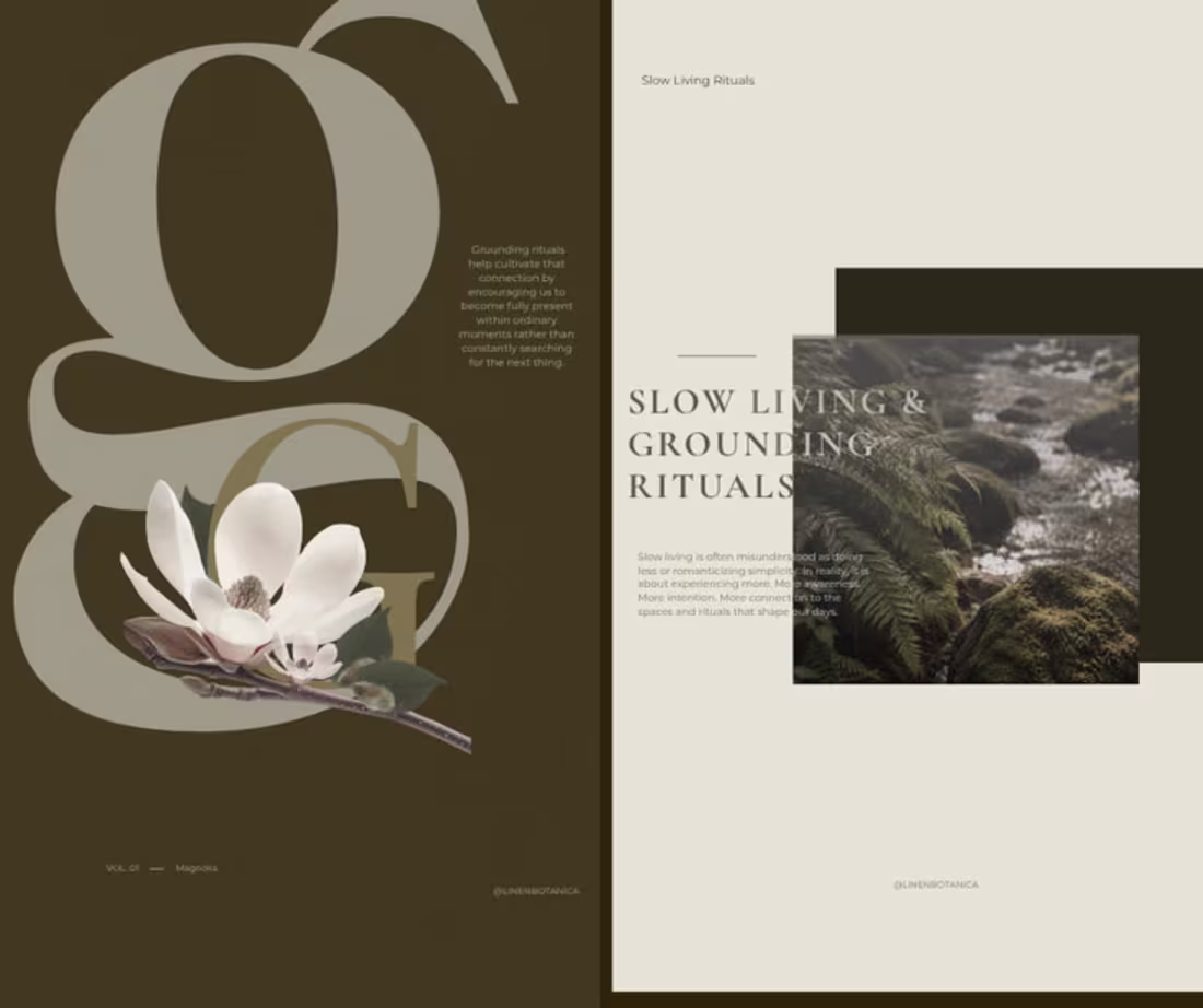 Cover image for Creating Editorial Experiences That Reflect