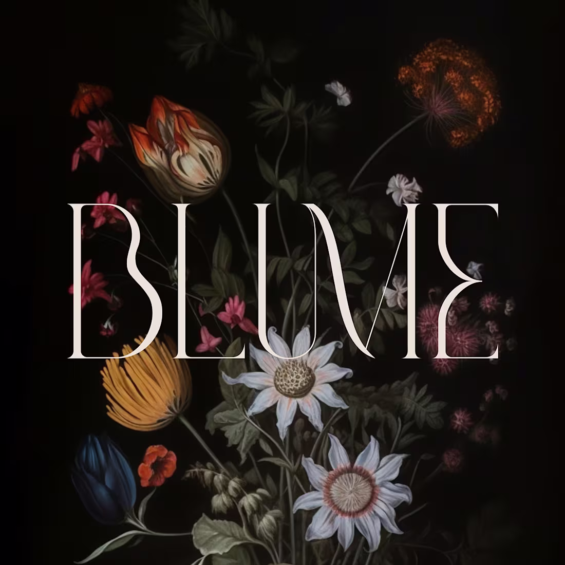 Cover image for Blume I Brand Identity