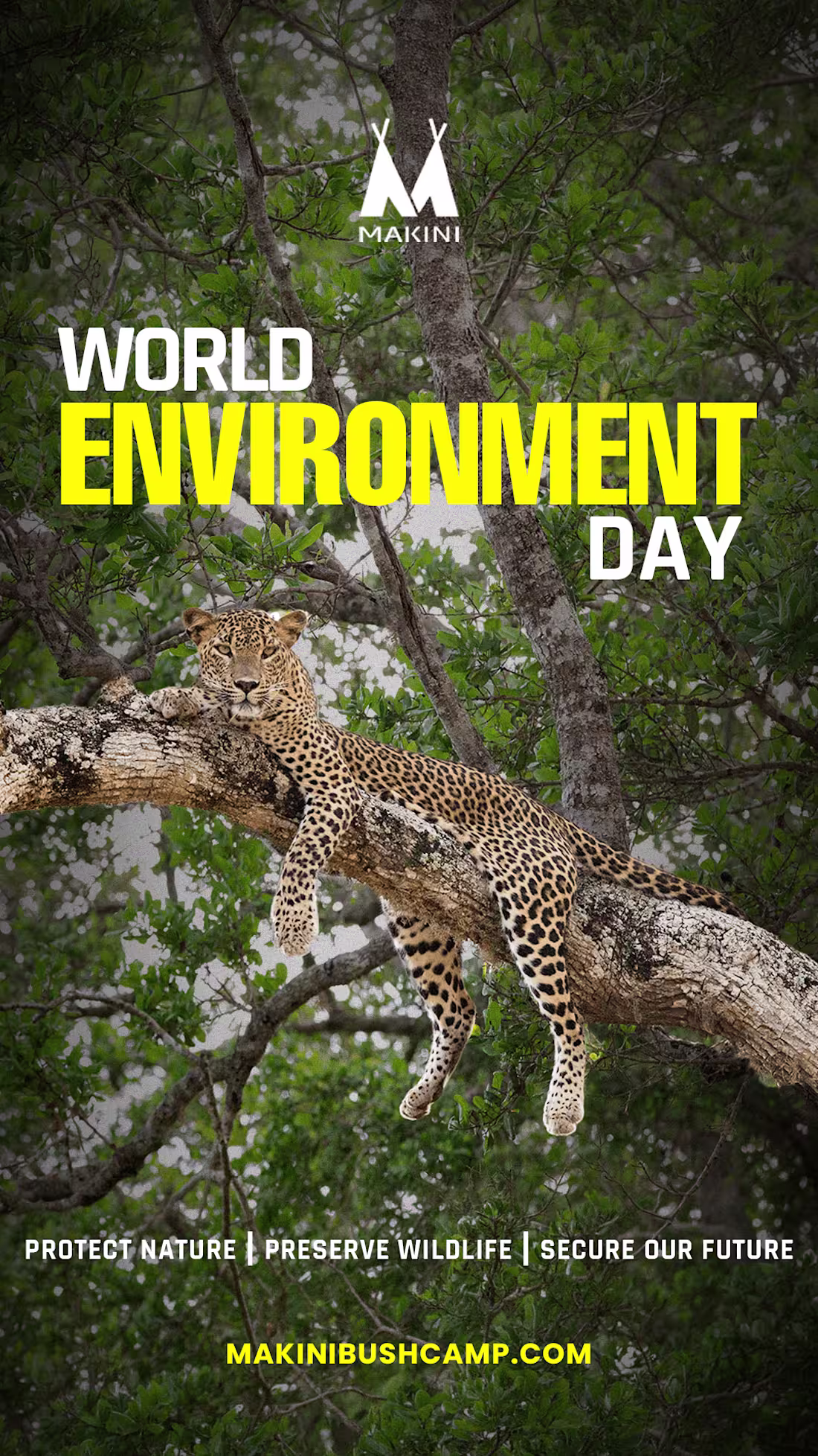 Cover image for World environment day posts