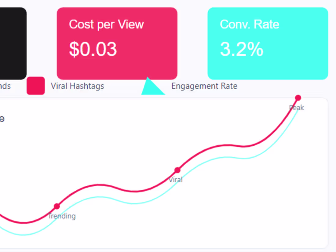 Cover image for Paid Social Media Ads (TikTok Ads)