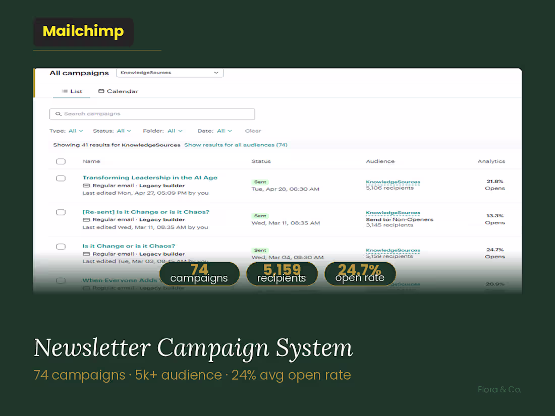 Cover image for Mailchimp Newsletter Strategy and Designs