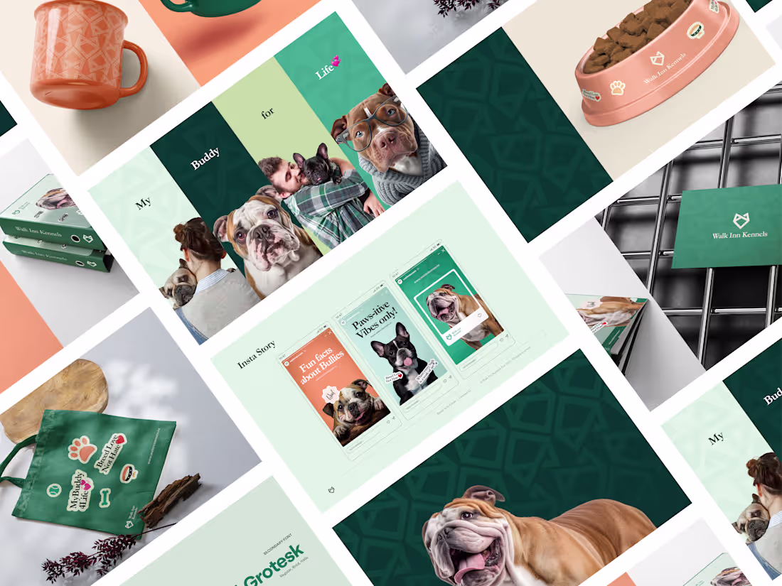 Cover image for Brand Identity Design done for an Australian client