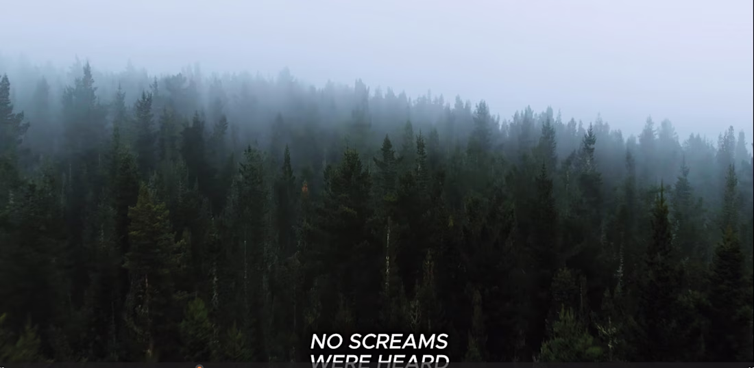 Cover image for High-Retention Documentary & Narrative Video Editing