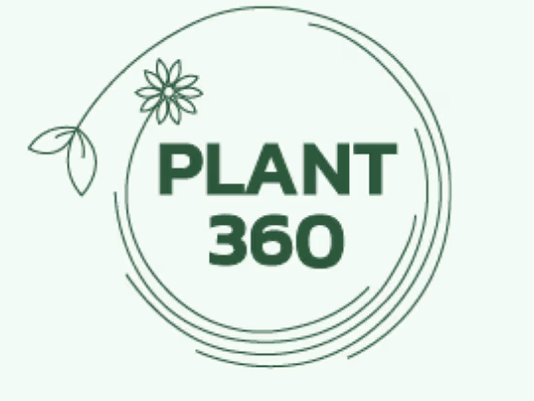 Cover image for Plant360