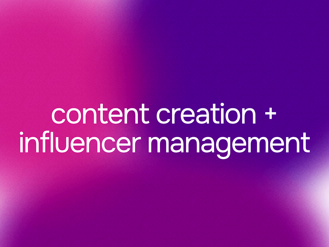 Cover image for influencer management: D5 Render