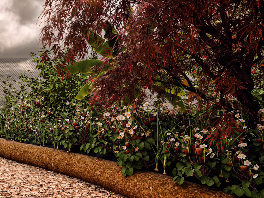 Cover image for Edible Landscaping Project: Primary school in Galicia-Spain