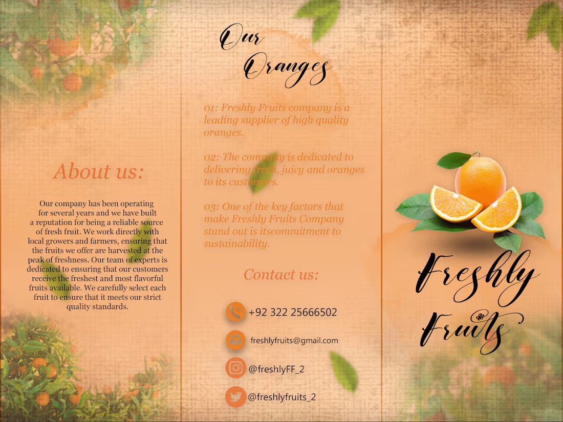 Cover image for Try Fold Business Brouchure.