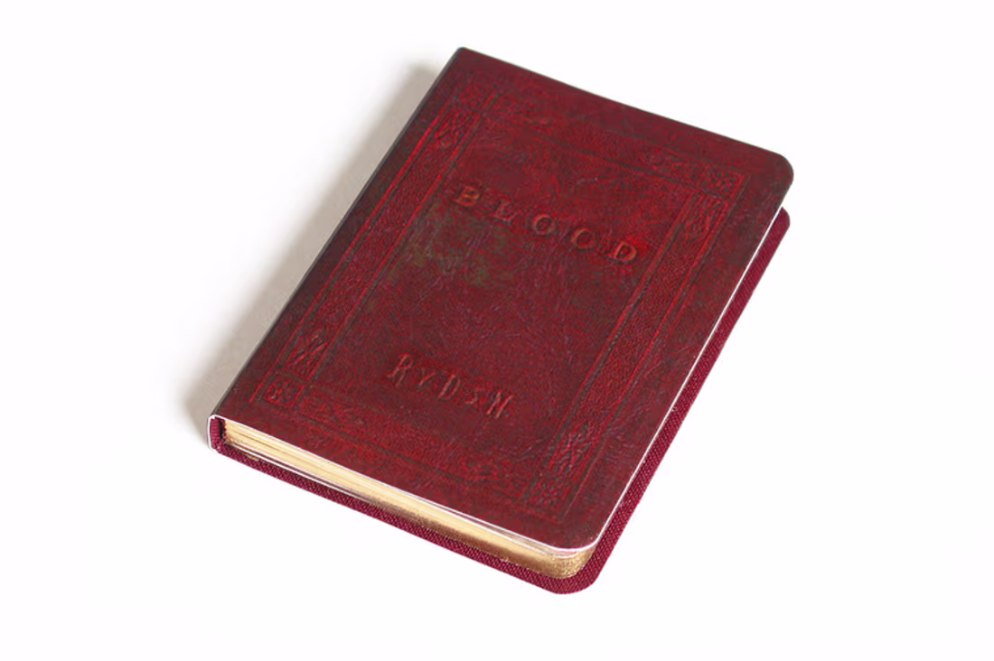 Cover image for Mark Ryden Portfolio