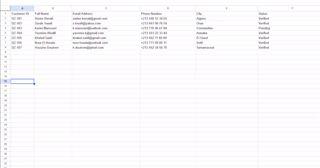 Cover image for Sample of Excel Data Cleaning