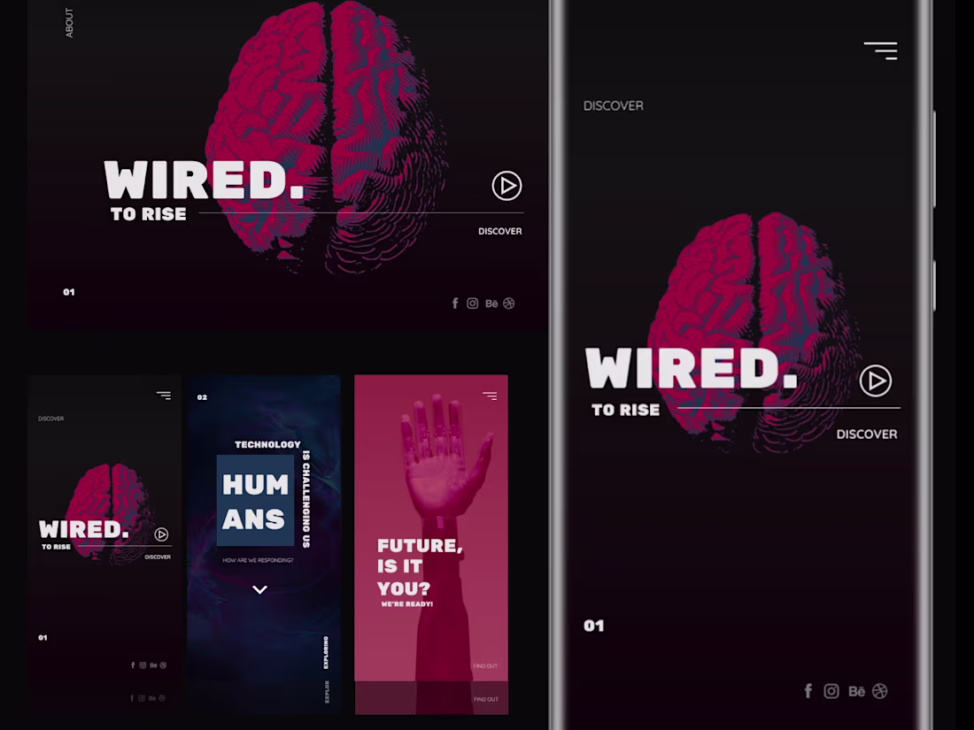 Cover image for Wired to Rise