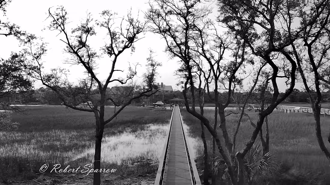 Cover image for Boardwalk going to boat dock, Daniel Island, SC