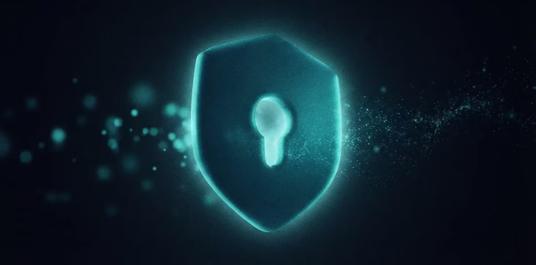 Cover image for Website Security & Maintenance