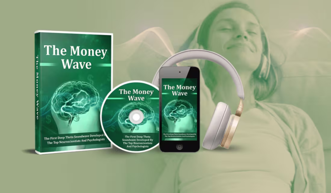 Cover image for The Money Wave (Serious WARNING!!) EXPERT CHECK!