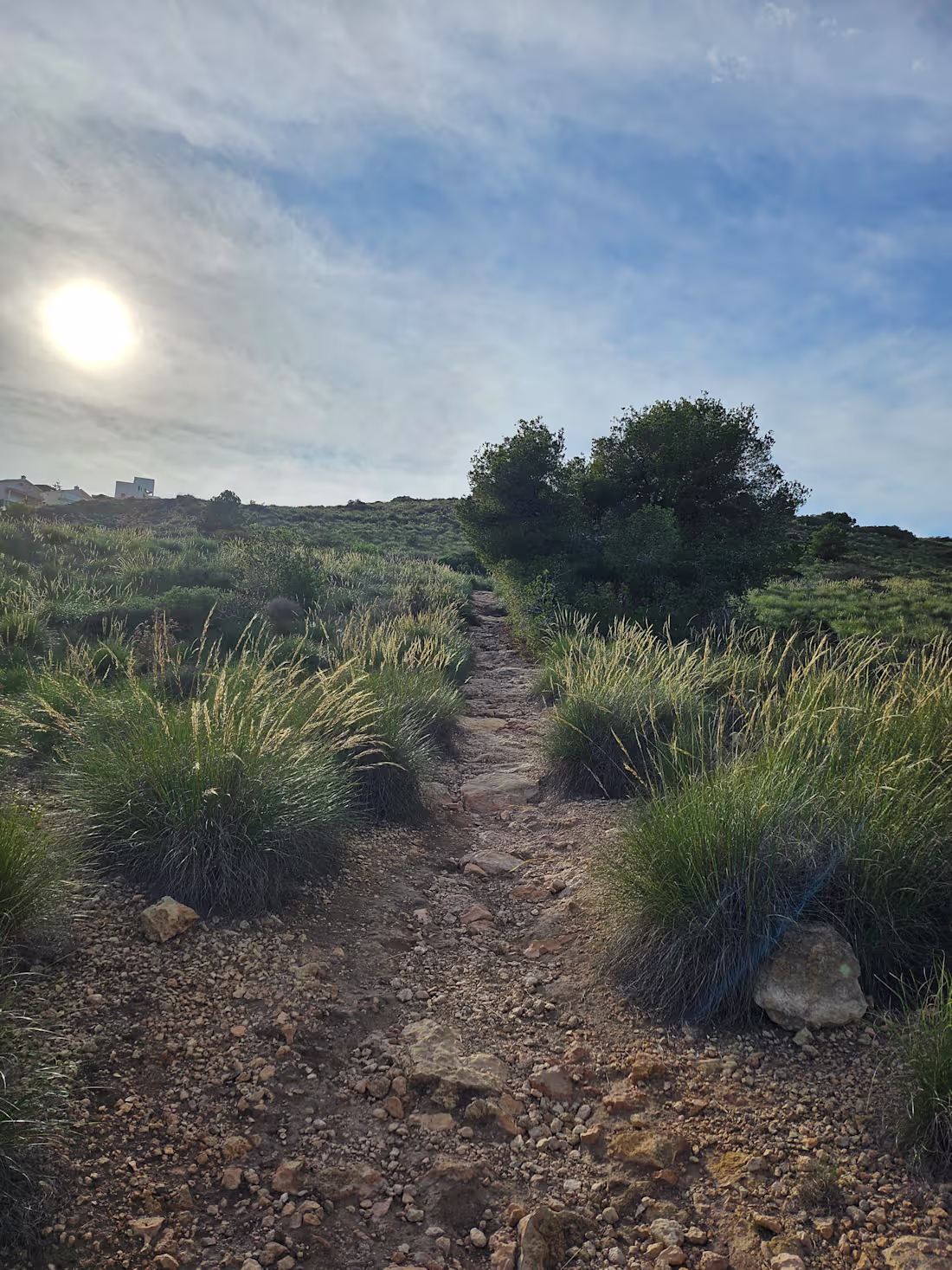 Cover image for Hiking in Spain Photo