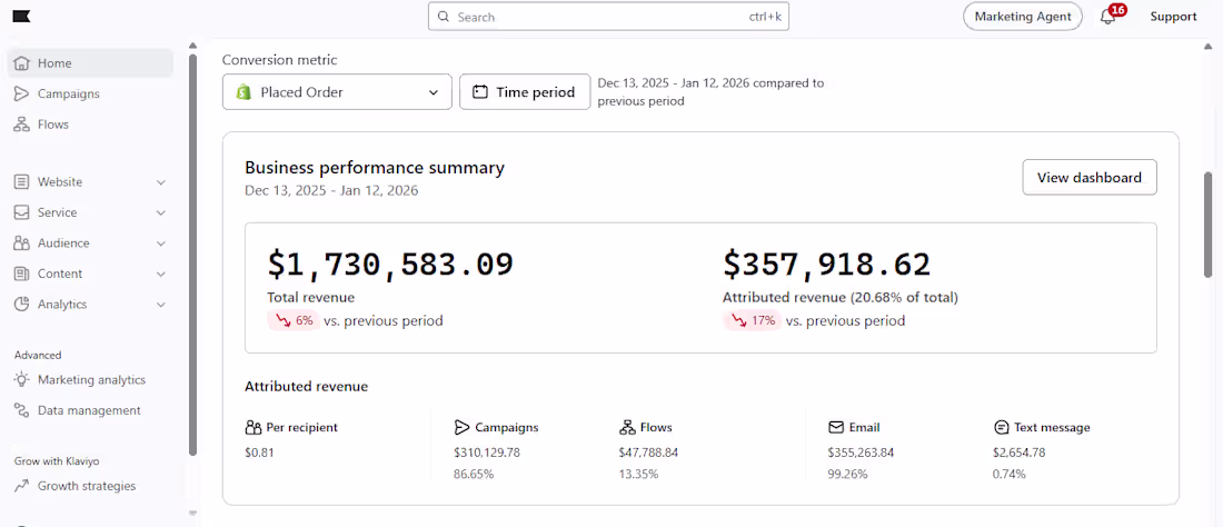 Cover image for Klaviyo Total Revenue Business Performance