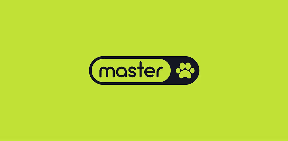 Cover image for Master