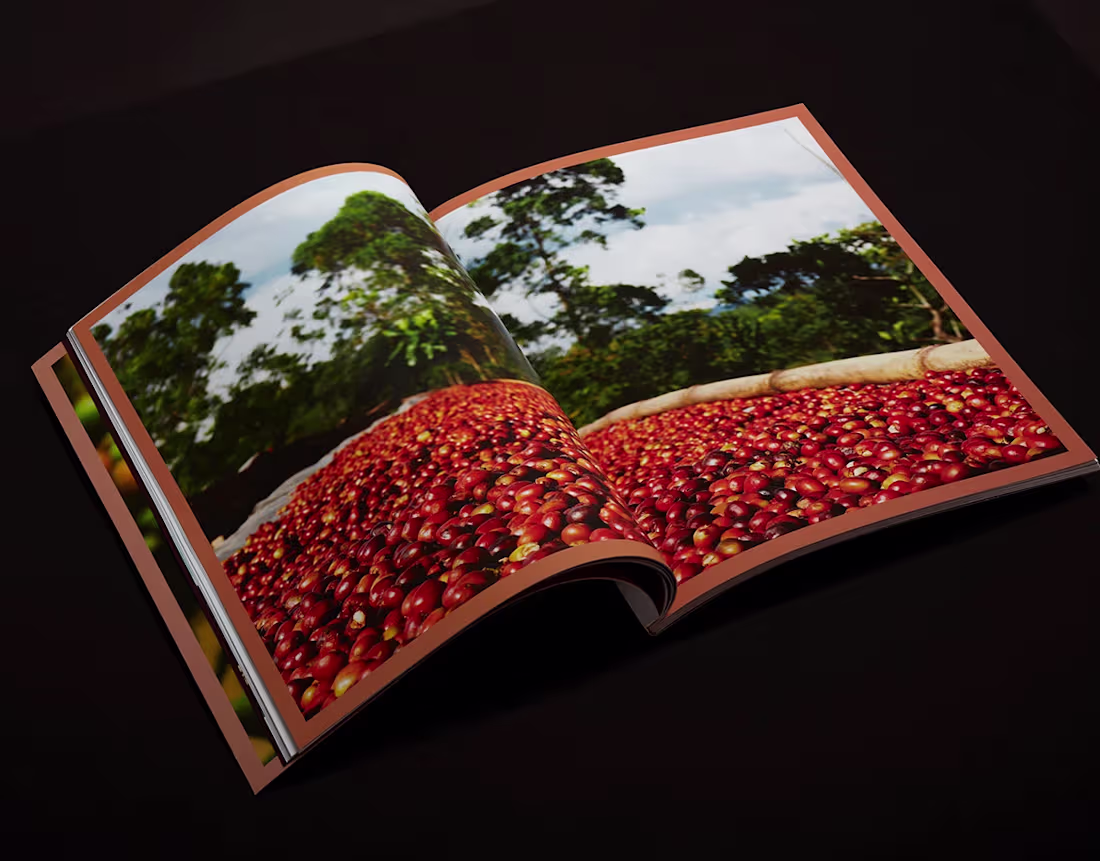 Cover image for The Ethiopian Forest Coffee Atlas
