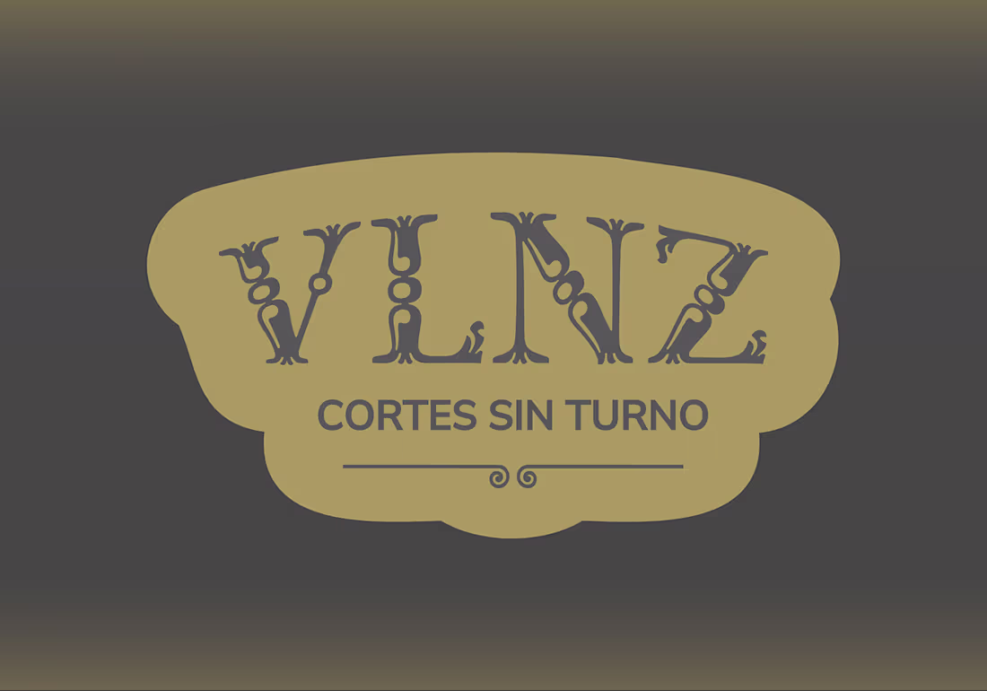 Cover image for VLNZ | Branding & Advertising