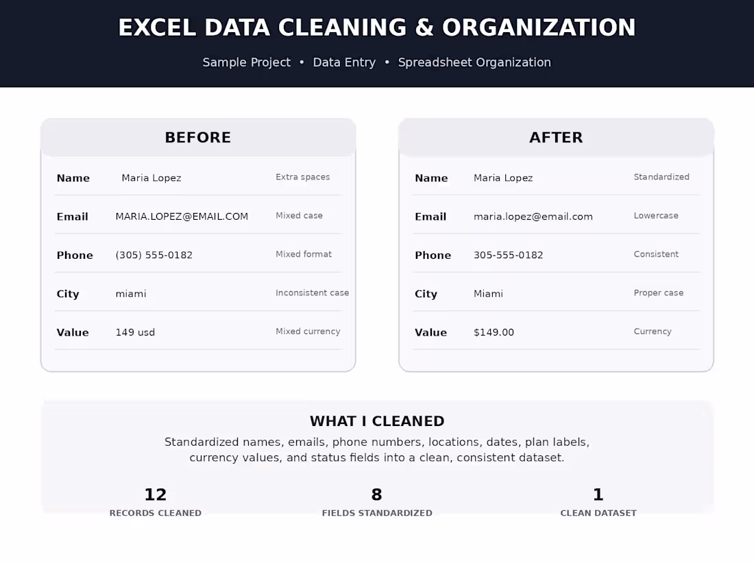 Cover image for Excel Data Cleaning & Organization
