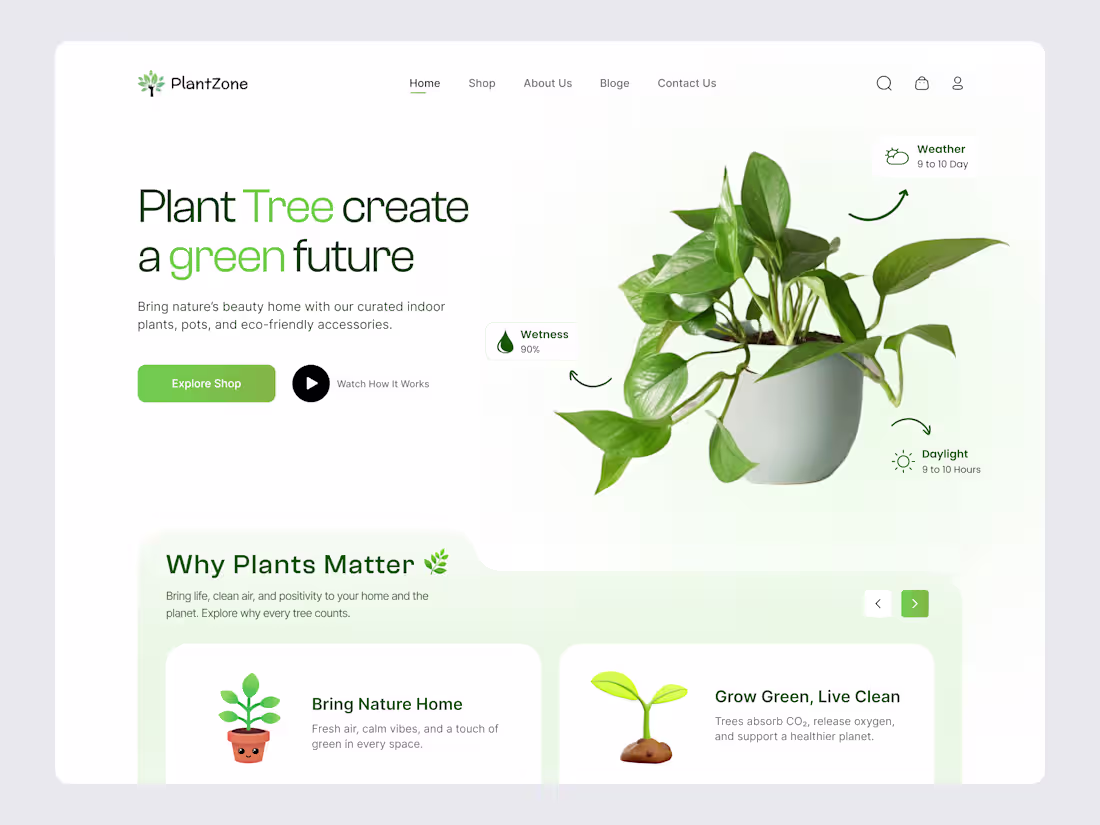 Cover image for Designed a fresh and modern