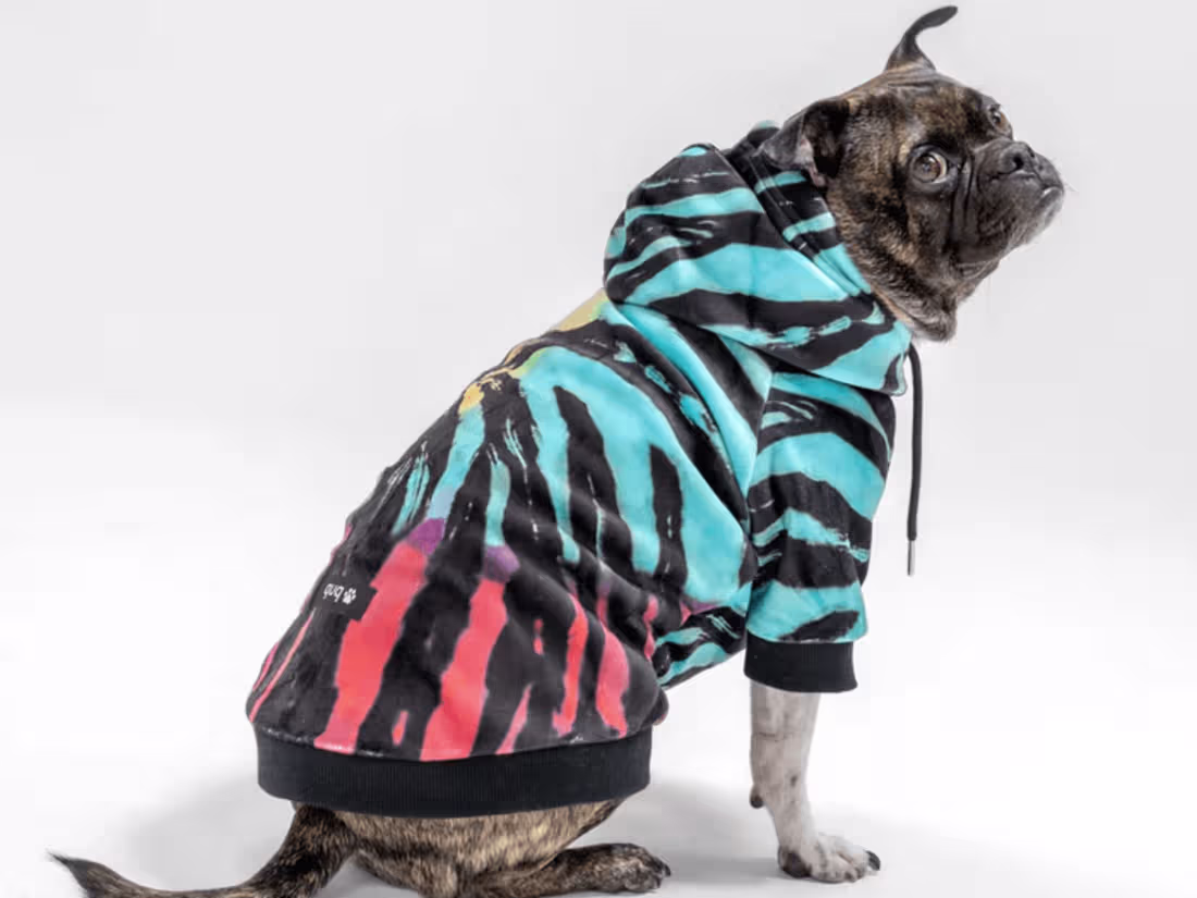 Cover image for Design and Development of BarknPup Shopify Store
