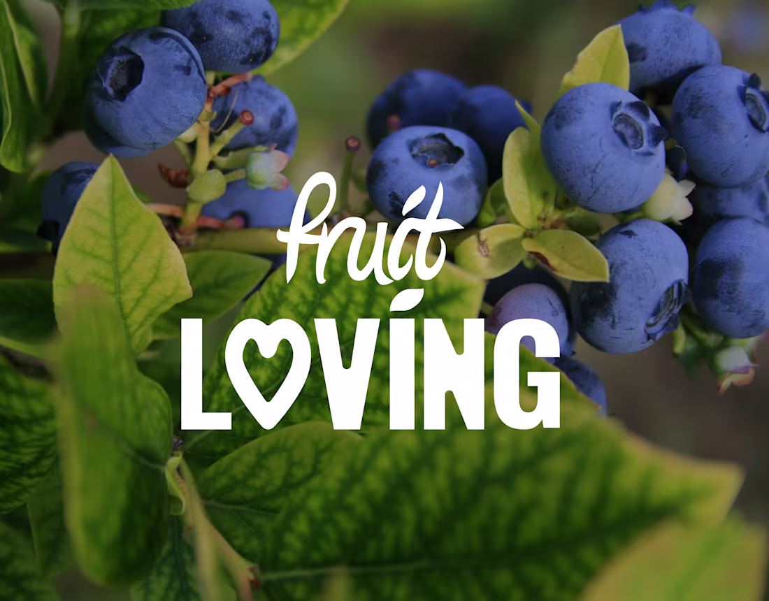 Cover image for Fruit Loving Food Brand Branding & Brand Identity