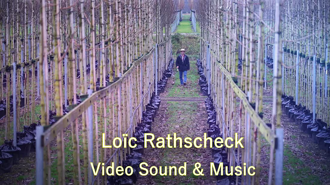 Cover image for Video / Music / Sound