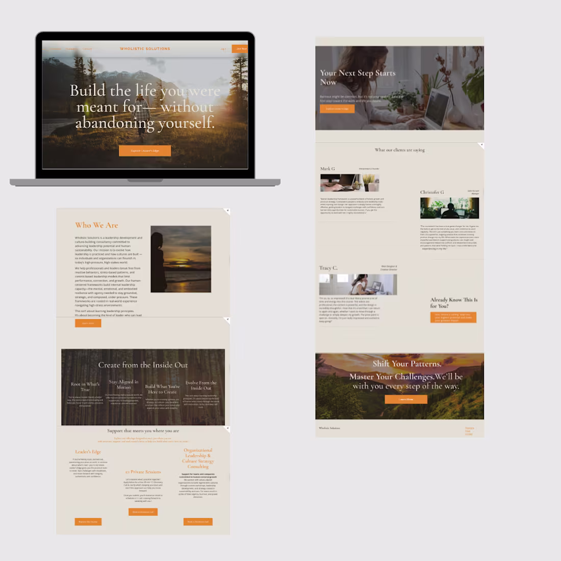 Cover image for Wholistic Solutions — Brand Launch & Growth