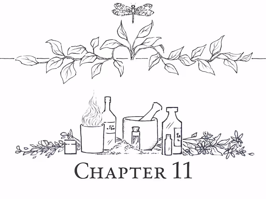 Cover image for Chapter Header Illustration/Design