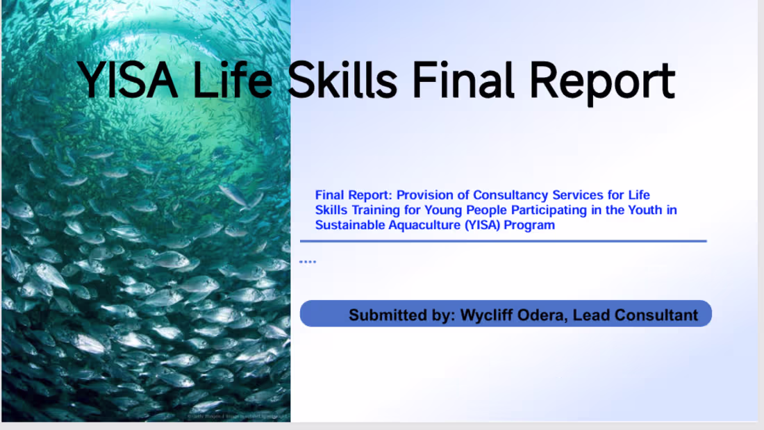 Cover image for Turned a dense project report